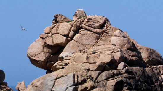 P1380247 - Copy.jpg